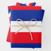 Franse vlag Patriottische kleuren internationaal r Inpakpapier Vel (In situ)