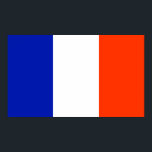 franse vlag poster<br><div class="desc"></div>