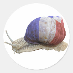 Franse vlag ronde sticker