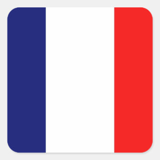 Franse vlag vierkante sticker