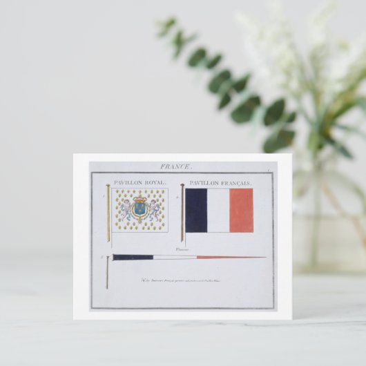 Franse vlaggen, uit een Frans boek over de vlaggen Briefkaart (Staand voorkant)