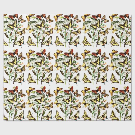 Franse vlinder Cadeaupapier (Vlak)