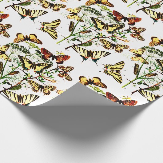 Franse vlinder Cadeaupapier (Hoek)