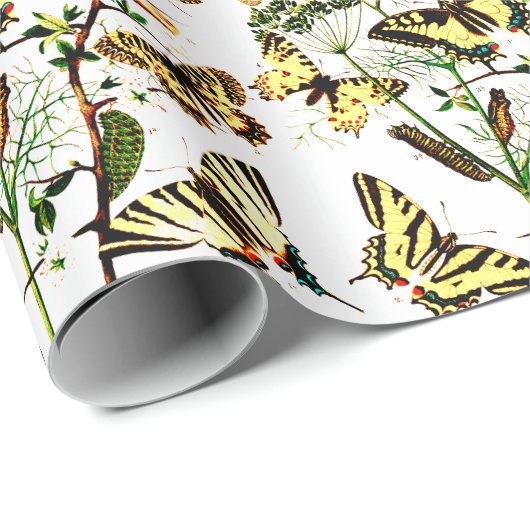  Franse vlinder Cadeaupapier (Rol Hoek)