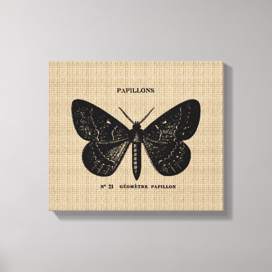  Franse Vlinder op Canvas (Voorkant)