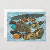 Franse Vlinders Illustratie-2 Briefkaart (Voorkant / Achterkant)