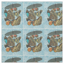 Franse  Vlinders Illustratie-2