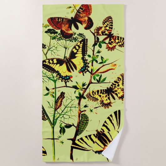 Franse vlinders strandlaken (Voorkant)