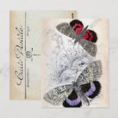  Franse vlinderschildering - Postkaart (Voorkant / Achterkant)