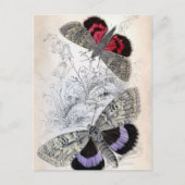  Franse vlinderschildering - Postkaart