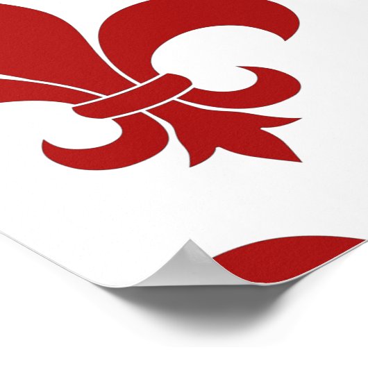 Franse vloour de lis patroon Parisian Poster (Hoek)