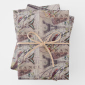 Franse Vogelbotanische Eiffeltoren Inpakpapier Vel (In situ)