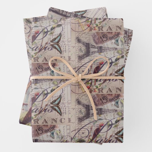  Franse Vogelbotanische Eiffeltoren Inpakpapier Vel (In situ)