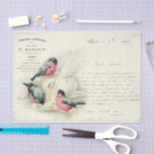  Franse vogelbrieven en liefdesbrieven Tissuepapier (Craft)