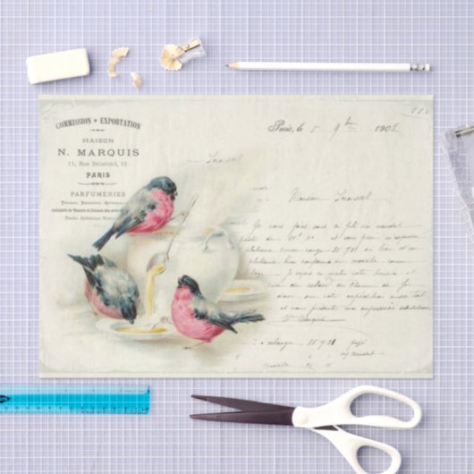  Franse vogelbrieven en liefdesbrieven Tissuepapier (Craft)