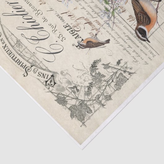 franse vogelontvangstontkoppeling tissuepapier (Detail)