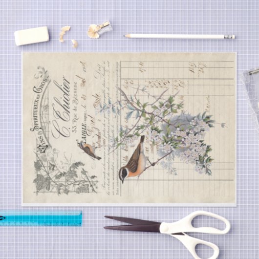 franse vogelontvangstontkoppeling tissuepapier (Craft)