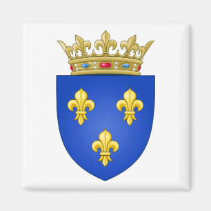 Franse wapenstilstand magneet