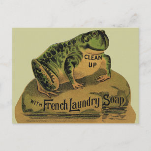 Franse waszeep kikken briefkaart