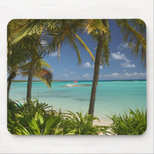 Franse West-Indië, Guadeloupe, Grande Terre, 2 Muismat