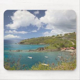 FRANSE WEST INDIES (FWI), Guadaloupe, Basse, Muismat