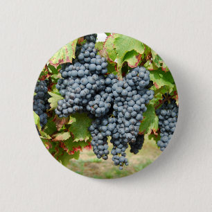 Franse wijndruiven ronde button 5,7 cm