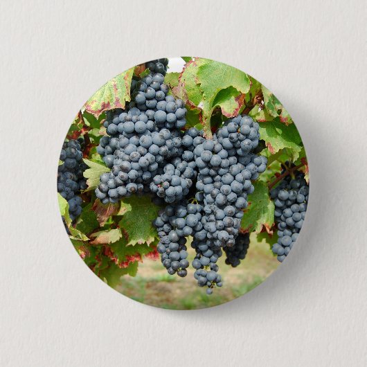 Franse wijndruiven ronde button 5,7 cm (Voorkant)
