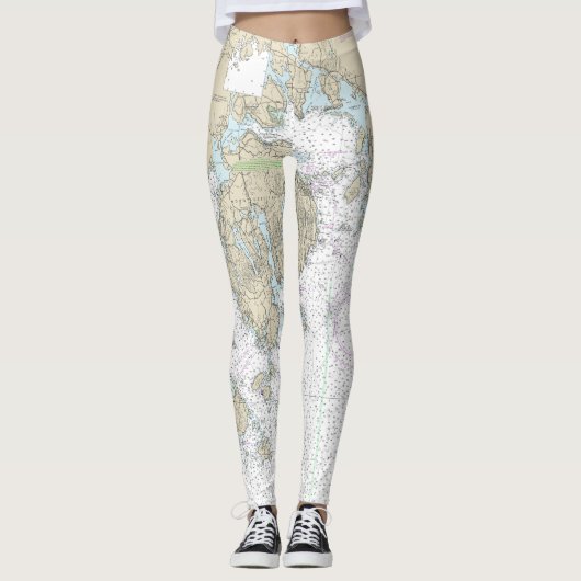 Fransman en Blue Hill Bays en benaderingen Grafiek Leggings (Voorkant)