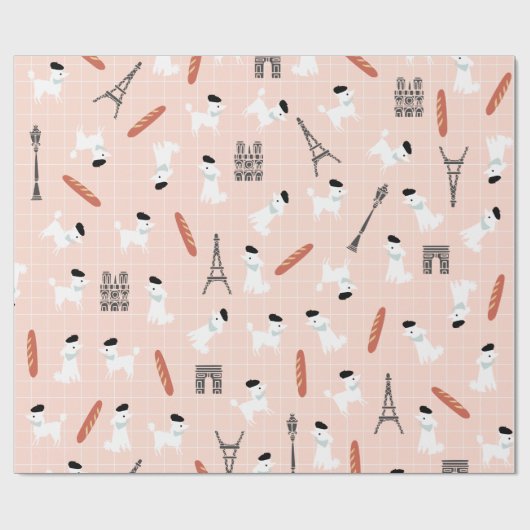 Franstalig oppakpapier cadeaupapier (Vlak)