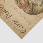 Franstalige carte Postale Cat en thea Cup Tissuepapier (Detail)