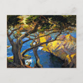 Franz Bischoff - Cleft-Born Trees, Monterey Briefkaart (Voorkant)