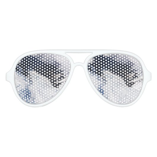 Franz Josef Glacier Aerial Uitzicht, Nieuw-Zeeland Aviator Zonnebril (Voorkant)