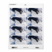 Franz Josef Glacier Aerial Uitzicht, Nieuw-Zeeland Etiket (Full Sheet)