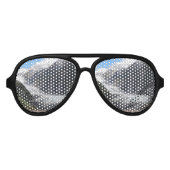 Franz Josef Glacier, Nieuw-Zeeland Aviator Zonnebril (Voorkant)