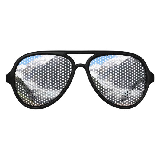 Franz Josef Glacier, Nieuw-Zeeland Aviator Zonnebril (Voorkant)