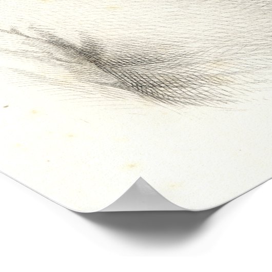 Franz Joseph I, keizer van Oostenrijk Poster (Hoek)