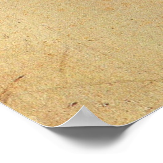 Franz Liszt Poster (Hoek)