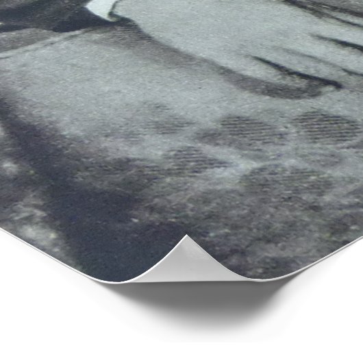 franz liszt poster (Hoek)