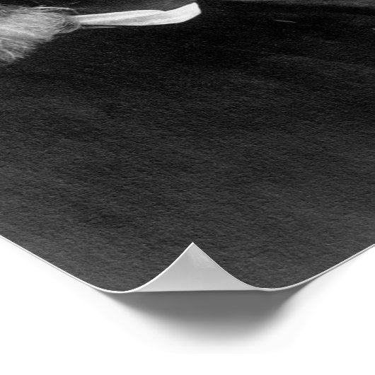 Franz Liszt Profile Afbeelding Poster (Hoek)