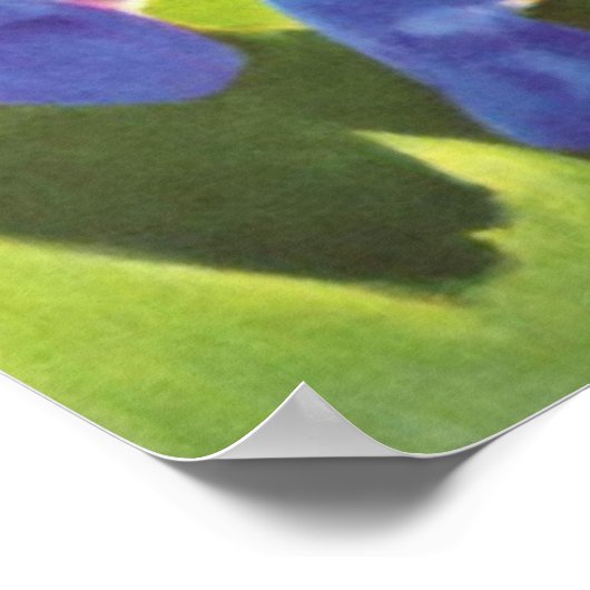 Franz Marc - Blue Horse I 1911 Equine Equestrian Poster (Hoek)