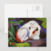 Franz Marc-The Steer (de stier) Briefkaart (Voorkant / Achterkant)