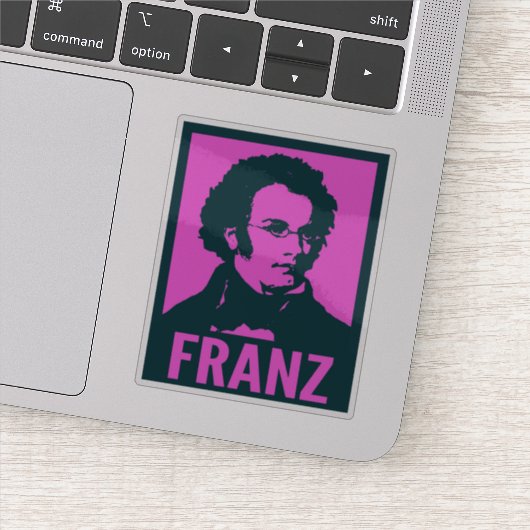 Franz Schubert Pop Kunstportret Custom Cut Vinyl Sticker (Detail)