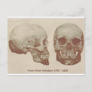 Franz Schubert uit 1888 Opgraving Briefkaart