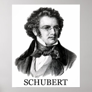 Franz Schubert, zwart Poster
