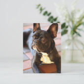 Französisch Bulldog Briefkaart (Staand voorkant)
