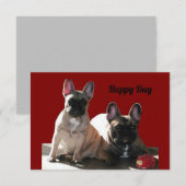 Französische Buldoggen Flo und Fips  Kaart (Voorkant / Achterkant)