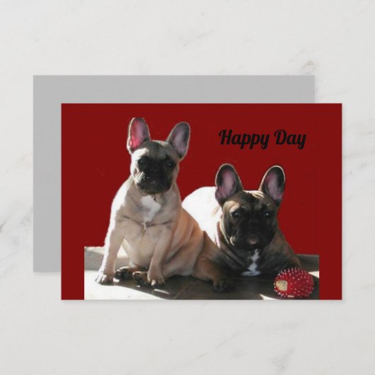 Französische Buldoggen Flo und Fips  Kaart (Voorkant / Achterkant)