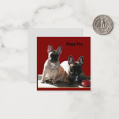 Französische Buldoggen Flo und Fips    Notitiekaartje (Voorkant / Achterkant in situ)