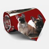 Französische Buldoggen Flo und Fips Stropdas (Opgerold)