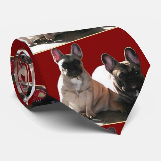 Französische Buldoggen Flo und Fips Stropdas (Opgerold)